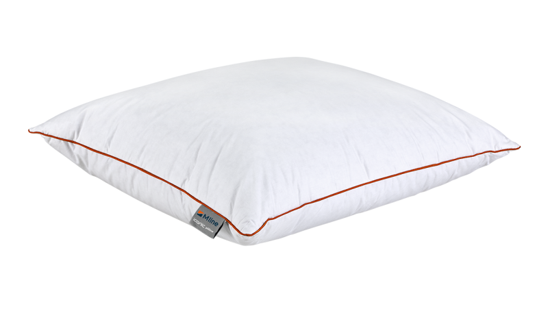 Artikel Iconic Pillow