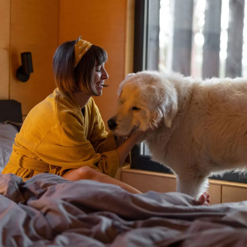 Wel of geen huisdieren in je slaapkamer?
